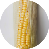 FiberSMART Soluble Fiber 